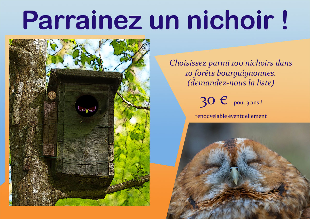Parrainage